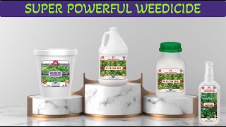 Sansar Green Liquid Weeds Remover for Removing all types of Wild Weeds [upl. by Ellesirg]