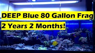 🌊 Deep Blue 80 Gallon Frag Tank 2 Years [upl. by Ahsiki]