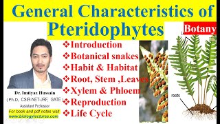 Pteridophytes General Characteristics in Hindi with notes bscbotany 1stsemester pteridophytes [upl. by Orlan]