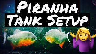 Piranha Aquarium Setup amp Tank Care  Beginner [upl. by Pedaias]