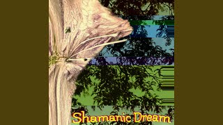 Shamanic Dream [upl. by Pinette]