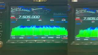 WRNO 7505 khz 14082024 [upl. by Nelo961]