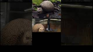 GLYPTODON animación nivel 10 Jurassic World the game m jurassic dinosaurjurassicpark dinosaur 🦖🦖 [upl. by Tonnie]