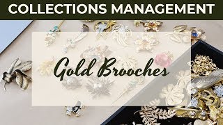 Gold Brooches  Collections Management [upl. by Anirac]