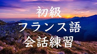 初級フランス語会話トレーニング230  基本フレーズ聞き流し [upl. by Nilo]