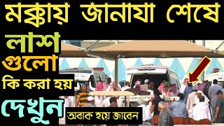 মক্কায় জানাজা শেষে লাশগুলো কি করা হয় দেখন  mokka modinar video bangla  islami amol sikkaha [upl. by Llig]