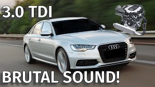 BRUTAL 30TDI Sound Compilation [upl. by Neenahs]