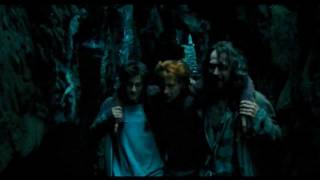 Funny Weasley Scene 43  quotYou almost tore my leg offquot [upl. by Ariamo]