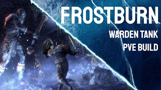 quotFrostburnquot Warden Tank Build  Elder Scrolls Online  Flames of Ambition [upl. by Gould]