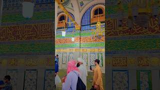 Reality Of Prophets In Qyamat nabi live islamicsayings religion madina qyamat shorts yt [upl. by Gilli]