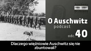 quotO Auschwitzquot odc 40 Dlaczego więźniowie Auschwitz się nie zbuntowali [upl. by Kahle]