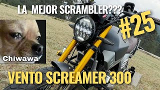 VENTO Screamer 300 2024 la mejor motocicleta tipo scrambler [upl. by Piper]