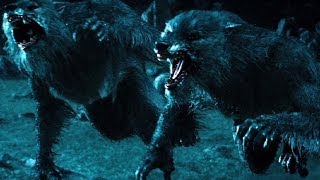 Top 10 Werewolf Movies REDUX [upl. by Nav937]