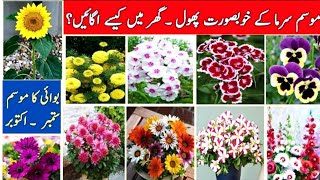 How To Grow Flowers Seedling From Seed At Home  Marigold Hollyhock Nasturtium  Easy Growing Method [upl. by Griselda]