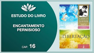 Estudo do livro “Libertação” Chico Xavier  André Luiz  Capítulo 16 [upl. by Karna]