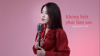 Không Biết Phải Làm Sao  Dương Lan Nhi x ViAM  Hy vọng sau này yêu một người khác không còn ai bị [upl. by Winstonn899]