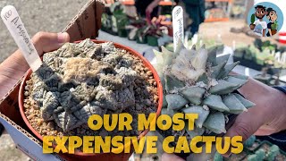 Our Most Expensive Cactus [upl. by Tsew]