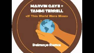 Marvin Gaye  Tammi Terrell  If This World Were Mine Dalminjo Remix [upl. by Lian]