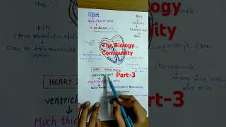 HUMAN CIRCULATORY SYSTEM PART3class11biologybiologyneet2025cbseshortsbodyfluidsampcirculationyt [upl. by Jansson]