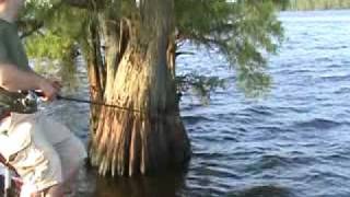 crappiecom reelfoot lake may 23 [upl. by Chinua]