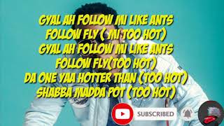 Stylo G Too Hot Lyrics video [upl. by Alamat524]