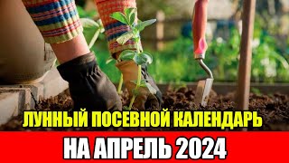 Лунный Посевной Календарь на АПРЕЛЬ 2024  Сажаем только в БЛАГОПРИЯТНЫЕ ДНИ [upl. by Rehpotsirhk]