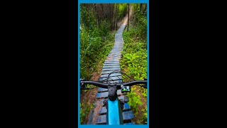 THE BEST TRAIL IN SOUTH FLORIDA [upl. by Jaworski]