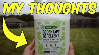 Review of the Mighty Mint Rodent Repellent [upl. by Hawthorn895]