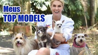 SESSÃO DE FOTOS COM OS CACHORROS I ANA HICKMANN [upl. by Aelahc125]