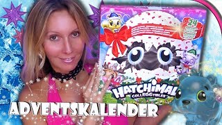 Adventskalender HATCHIMALS 🐣 Was ist drin 🎄 Figuren Adventskalender öffnen [upl. by Mcroberts879]