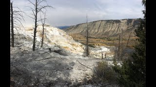 Monthly update of activity at Yellowstone Volcano for August 1 2022 from Mammoth Hot Springs [upl. by Nilesoj]