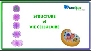 La structure et la vie cellulaire [upl. by Trevorr48]