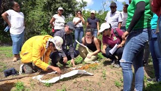 Ministerie van LVV participeert in workshop quotSoil Health in Surinamequot [upl. by Belldame]