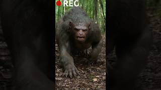 Unbelievable Creature Spotted in the Forest–Shocking Video Footage ForestMystery CreatureSighting [upl. by Ttirrej401]