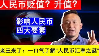 人民币汇率之谜：贬值升值？03影响人民币汇率四要素是什么｜老王的咸猪手 [upl. by Gal]