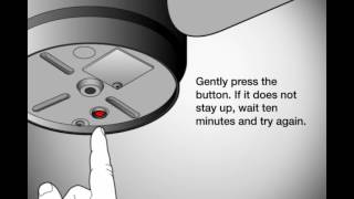 InSinkErator Disposer Trouble Shooting [upl. by Ardith691]