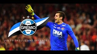 Júlio César  Skills and defenses  NOVO GOLEIRO DO GRÊMIO 2019 [upl. by Emia]