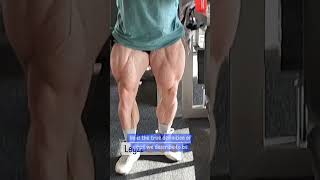 Michal Krizo is a MONSTER at 25 Weeks Out From Olympia [upl. by Yblehs540]