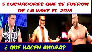 5 EX LUCHADORES DE LA WWE  ¿ EN QUE ESTÁN AHORA [upl. by Wemolohtrab]