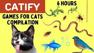 Games For Cats Compilation  6 HOURS  Snake lizard fish rope mice cockroach spider bird [upl. by Ashia]