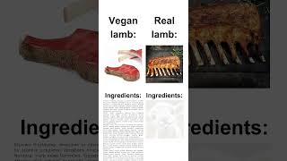 Vegan vs Normal Lamb [upl. by Sanfourd884]