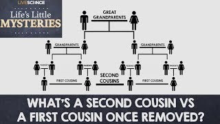 Whats a Second Cousin vs a First Cousin OnceRemoved [upl. by Prowel]