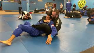 BJJ Light Round 144 Purple Belt vs Blue Belt [upl. by Blood]