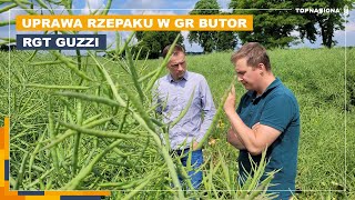 Jak uprawia rzepak GR Butor  Rzepak Guzzi  Top Nasiona [upl. by Nytsirk367]