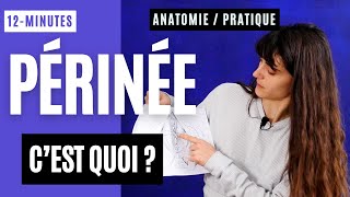 Cest quoi le PÉRINÉE  Anatomie et pratique  12min [upl. by Eenej]