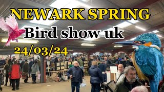 SPRING NEWARK BIRD SHOW 240324 Part  2 [upl. by Oelgnaed]