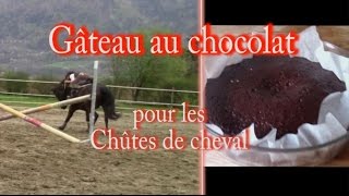 Recette n°1 Gâteau au chocolat au microonde [upl. by Yrollam]