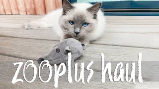 ZOOPLUS haul and favourite toys ♡ Kittens turn 8 months old  Ragdolls Pixie and Bluebell [upl. by Nonnaihr]