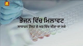 Adulteration in Food Punjabi  ਭੋਜਨ ਵਿੱਚ ਮਿਲਾਵਟ [upl. by Nyleda551]