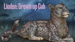 Lioden Grown up Cub [upl. by Eselahs]